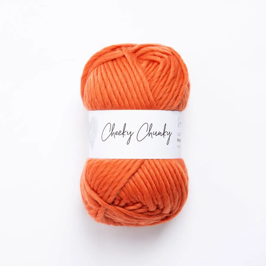 Cheeky Chunky Yarn 100g Ball