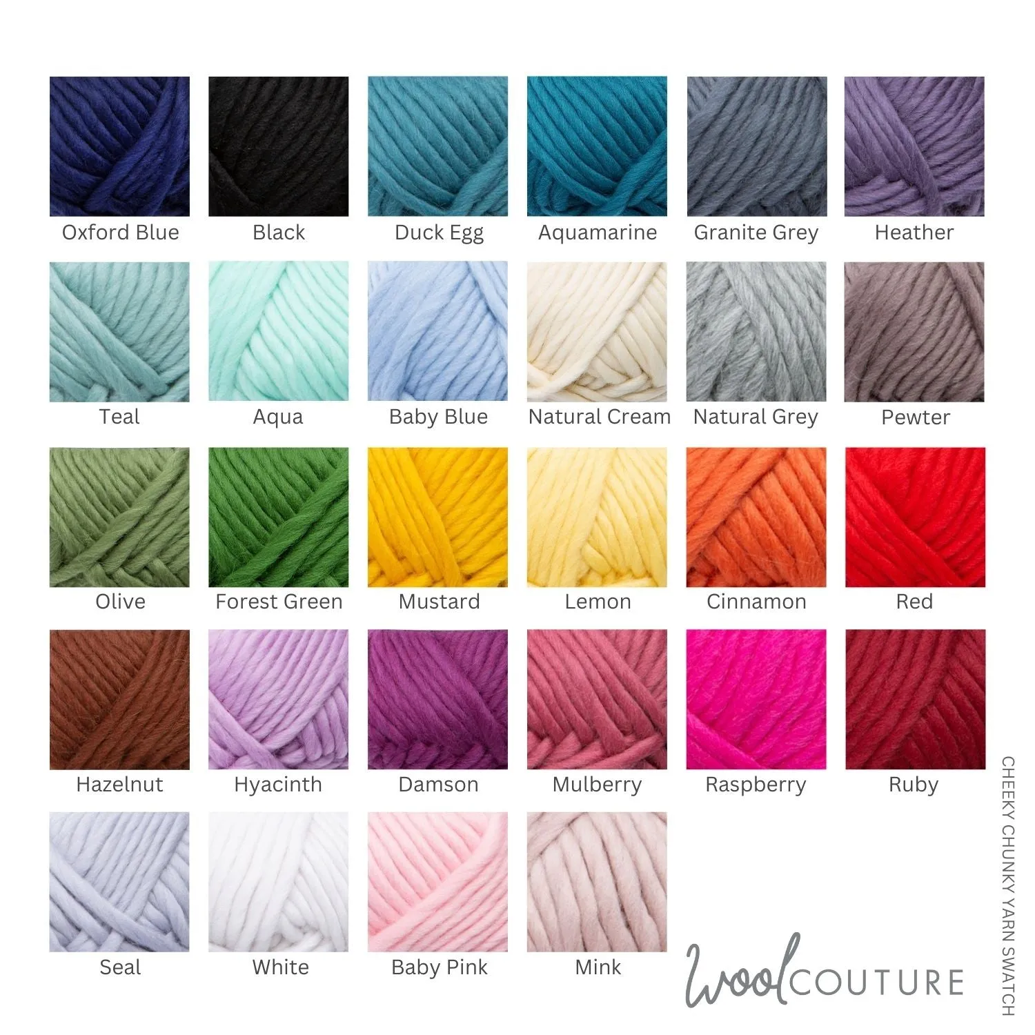 Cheeky Chunky Yarn 100g Ball