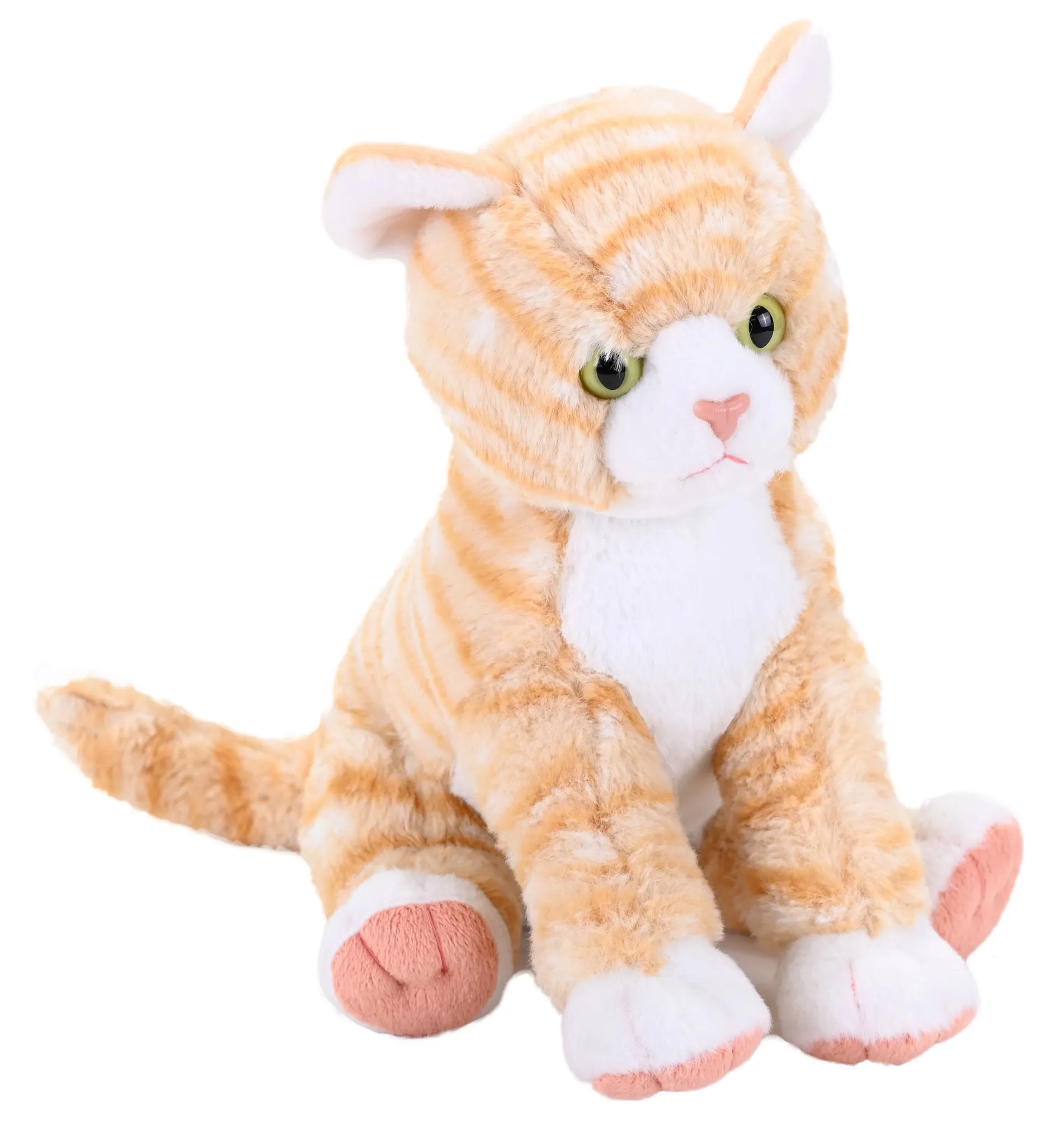 CK ORANGE TABBY CAT