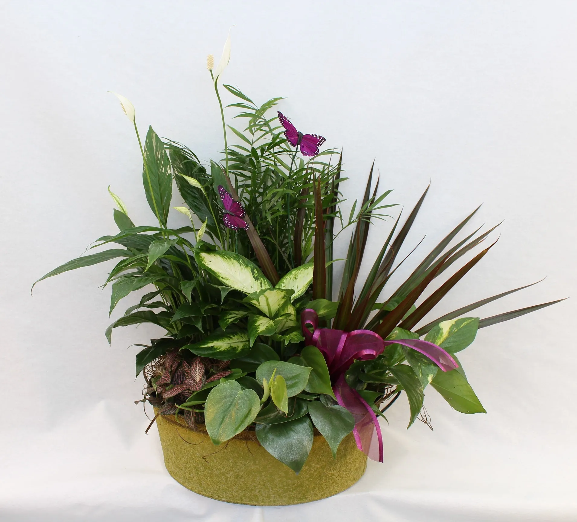 Indoor Mixed Dish Garden