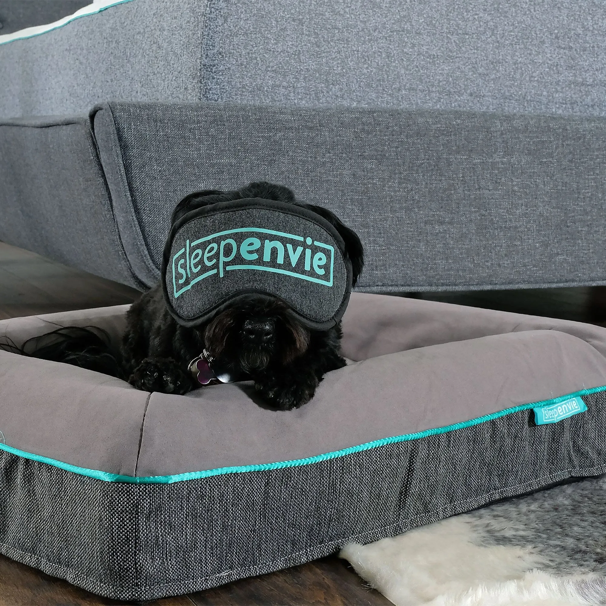 Jaxon Memory Foam Dog Bed